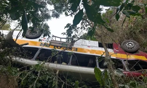 Veículo caiu em área de mata de difícil acesso