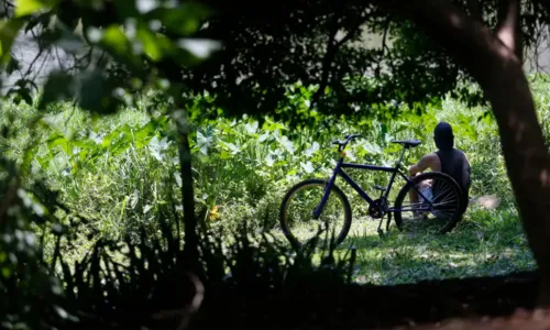 Outono chega ao Brasil com temperaturas acima da média e chuvas irregulares