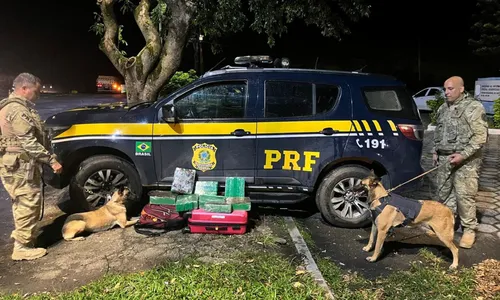 Droga foi encontrada com ajuda de cães farejadores da PRF