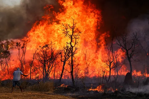 Em dezembro, a Amazônia foi responsável por 88% das queimadas no Brasil