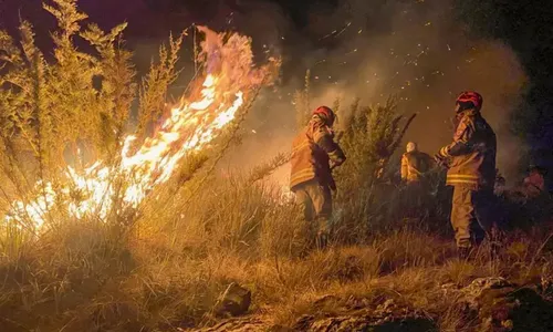 Números de incêndio em 2025 são maiores comparados ao ano passado