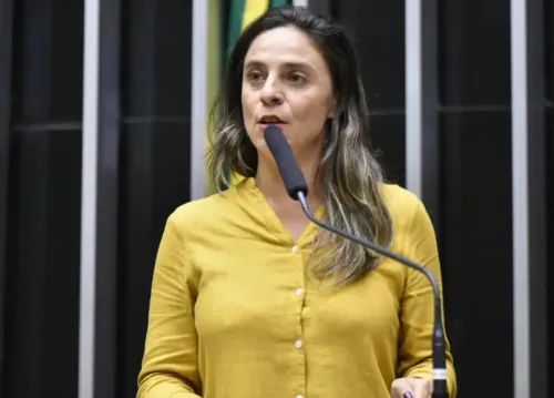 Projeto é da deputada federal Fernanda Melchionna (PSOL-RS)