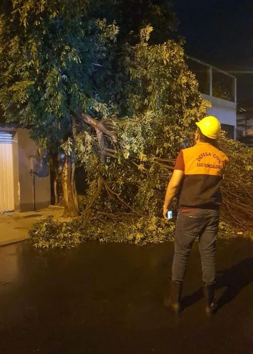 Árvores caíram em decorrência dos ventos fortes