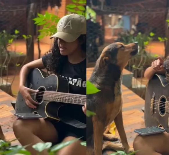 Vídeo: cachorro faz 'dueto' de música sertaneja com tutora