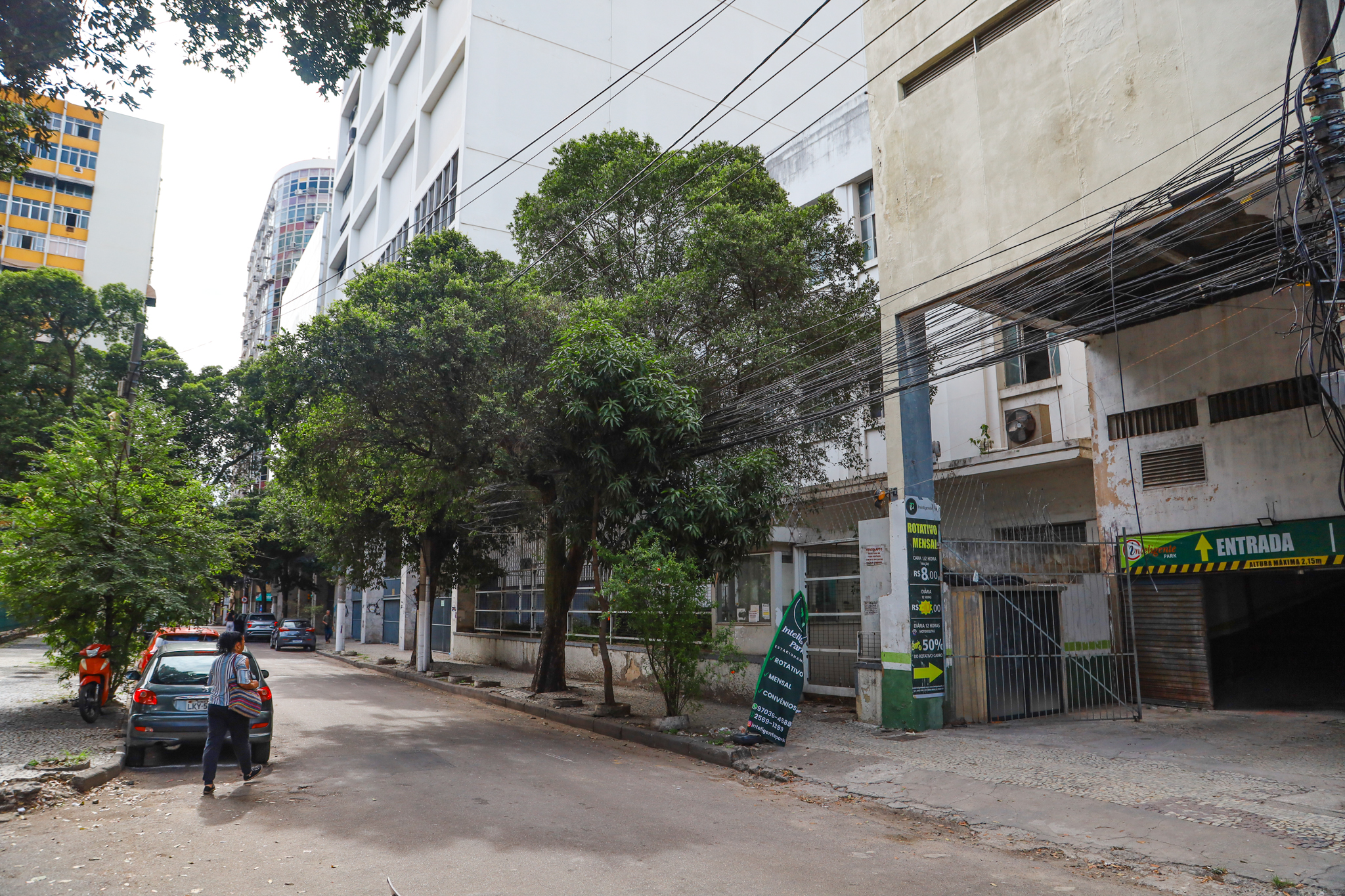 Tragédia anunciada! Chuvas de verão alertam para a poda de árvores