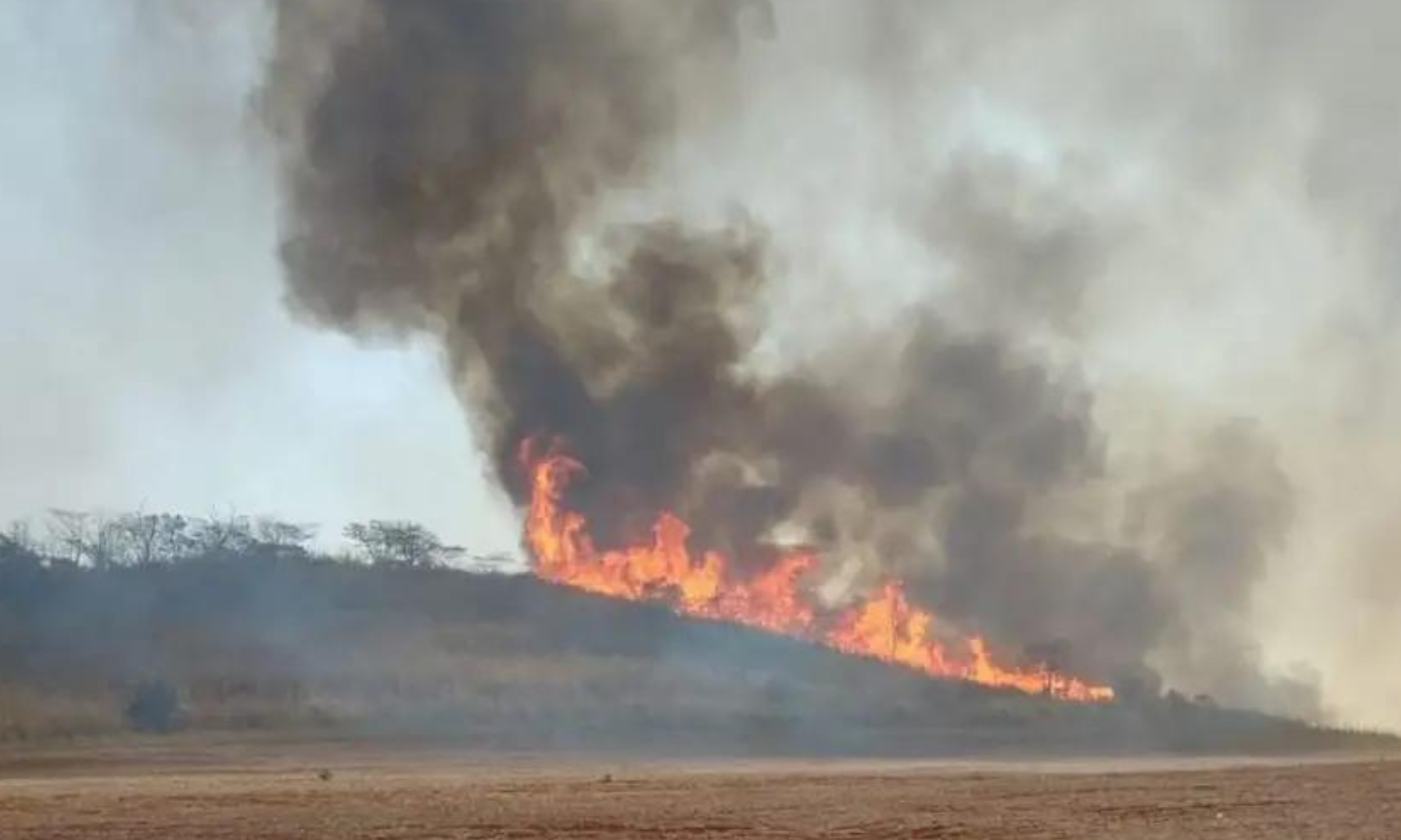 Tragédia: brigadista de 38 anos morre durante combate a incêndio