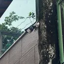 Testemunhas serão ouvidas pela Polícia Civil