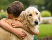 Por que ainda é tabu falar sobre a dor do luto por um pet?