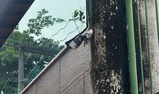 Testemunhas serão ouvidas pela Polícia Civil