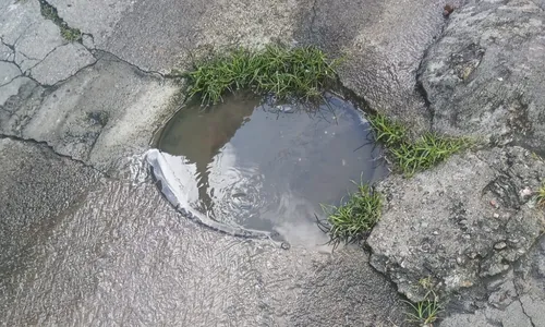 Moradores entraram em contato com a Águas de Niterói, que deu um prazo, mas até o momento não realizou o serviço