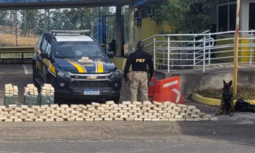 Material entorpecente foi encontrado dentro de um caminhão