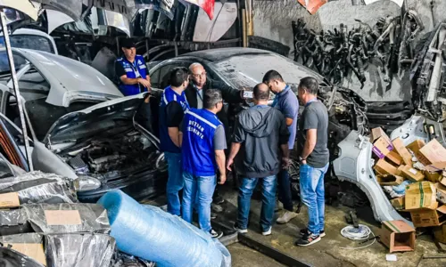 O local foi flagrado com sete placas de veículos roubados ou furtados e 17 placas falsificadas potencialmente destinadas à clonagem de automóveis