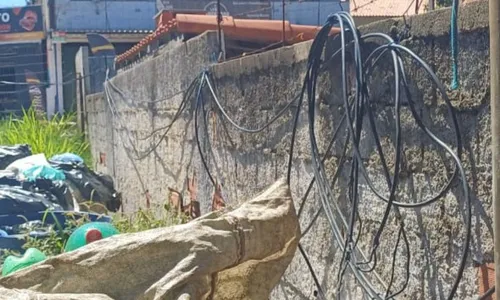 O terreno também apresentava contaminação do solo por óleo e resíduos