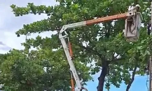 De acordo com a prefeitura, não houve aplicação de multas aos quiosques durante a operação