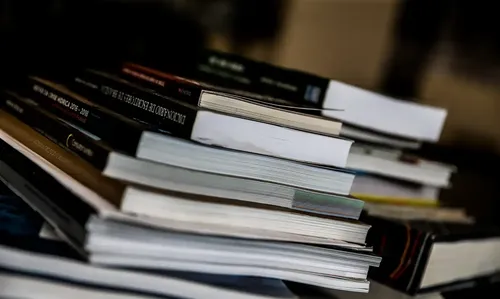 A nova norma institui a Política Nacional de Linguagem Simples