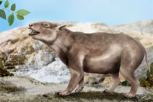 A espécie identificada recebeu o nome de Itaboraitemnus macrodon