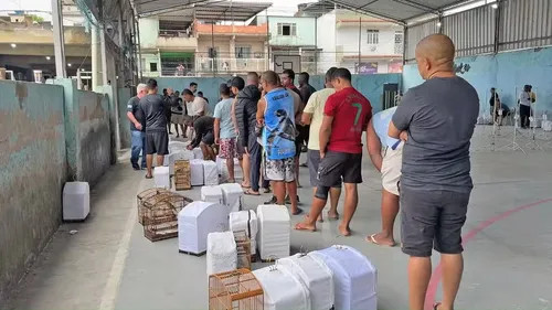 No espaço foram encontrados diversos suportes para gaiolas, além de troféus e medalhas