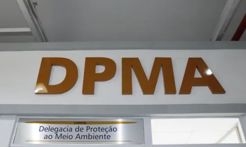 As aves estavam dentro de caixas pequenas de papelão em condições que configuram maus-tratos