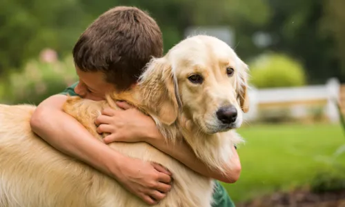 O luto pela perda de um animal não deve ser invalidado