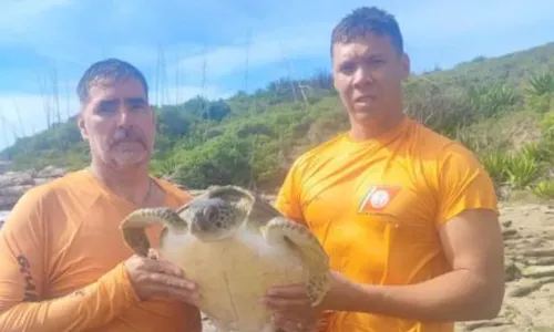 A operação foi conduzida pela Guarda Marítima e Ambiental