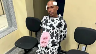Imagem ilustrativa da imagem Homem vestido de vaca é preso após tentar furtar mochila no Rio