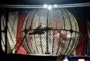 Imagem ilustrativa da imagem Motociclistas se chocam em 'globo da morte' de circo; vídeo