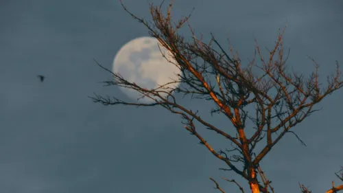 A Lua Nova representa o  momento de renovação e potencialidade