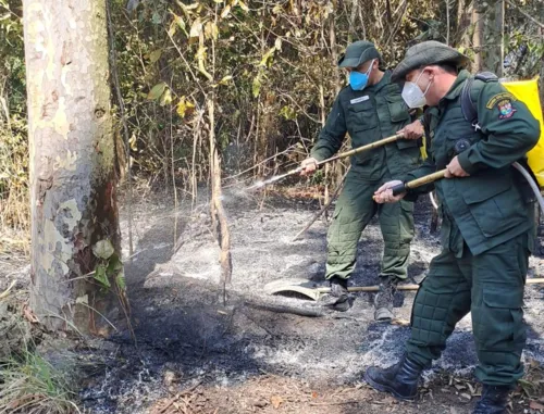 Agentes durante ação para combate a incêndio em Niterói