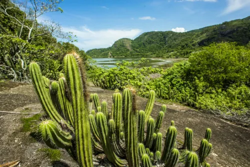 Tema do concurso será  “Parque Natural Municipal de Niterói”