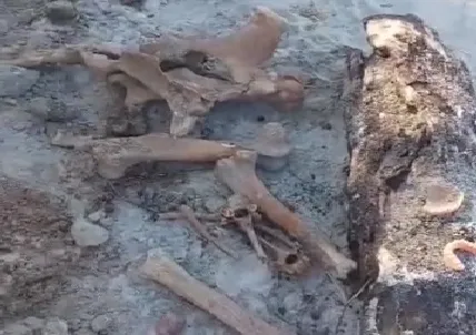 A ossada estava em um buraco na Praia de Itacoatiara