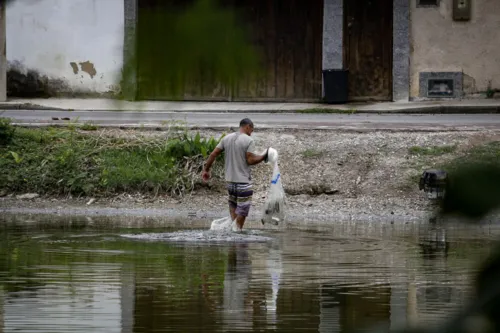 Mortandade de peixes tem causado impacto na renda dos pescadores locais