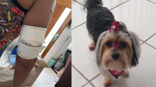 Dolores está machucada e sua cachorra Cacau morreu