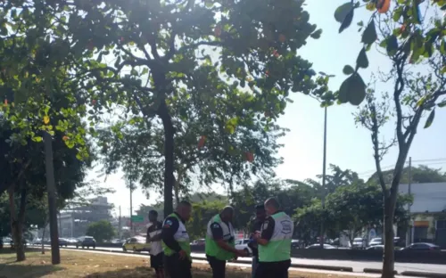 Suspeito foi preso na tarde desta quarta-feira (12)