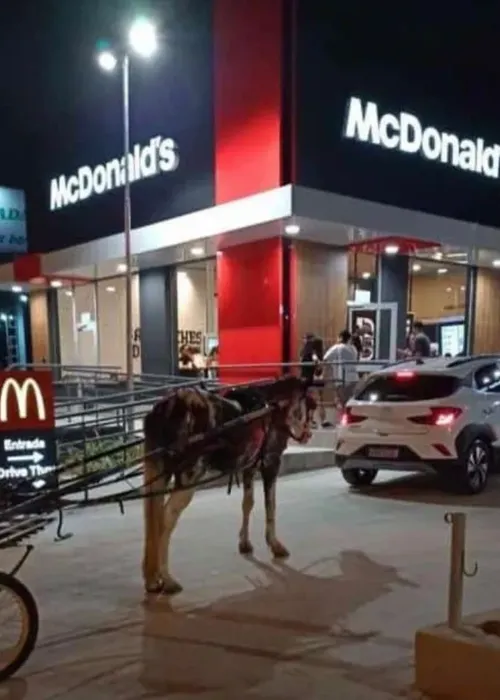 A charrete estava na fila para o drive-thru junto com os outros veículos