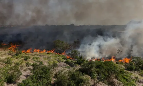 Imagens de drone captaram o incêndio na APA de Itaipuaçu