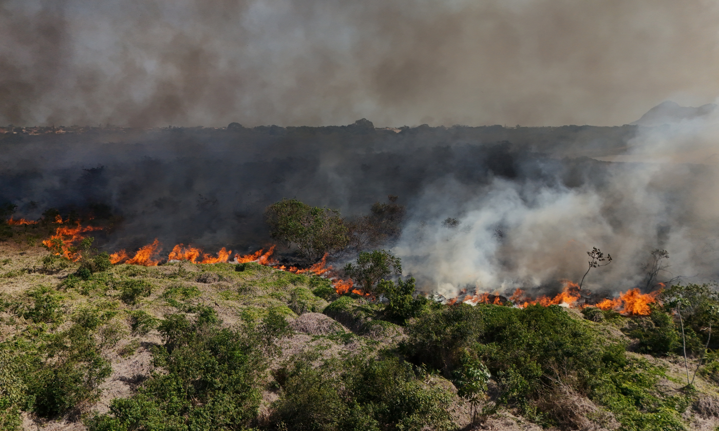 Incêndio de grandes proporções atinge Restinga de Maricá; veja