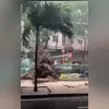 Temporal passou por vários pontos da Região Metropolitana