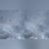 Imagem ilustrativa da imagem 'Chuva de aranhas' assusta moradores; veja cena inusitada