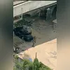 Segundo a Guarda Municipal, o homem usava nome e foto falsos no aplicativo