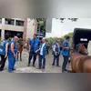 Imagem ilustrativa da imagem Égua passeia pela prefeitura do Rio e diverte funcionários; vídeo