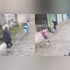 O salvamento chamou a atenção dos moradores da região, que acompanharam e registraram a operação