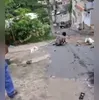 Cem leitos já estão em funcionamento