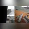 Árvores caíram em decorrência dos ventos fortes