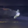 Imagem ilustrativa da imagem Peixe 'chupa' chupeta após criança deixar cair em aquário; vídeo