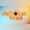 Vilma vai disputar ao lado do filho, o ator Diogo Almeida