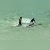 Tripulantes foram socorridos por marinheiros de outras embarcações