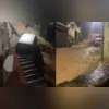 O salvamento chamou a atenção dos moradores da região, que acompanharam e registraram a operação
