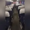 Imagem ilustrativa da imagem Tiros e morte em ônibus a caminho da Ponte; vídeo
