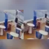 Medida entra em vigor a partir do dia 1º de fevereiro