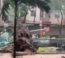 Árvore cai e praça fica destruída na Zona Sul do Rio; vídeo